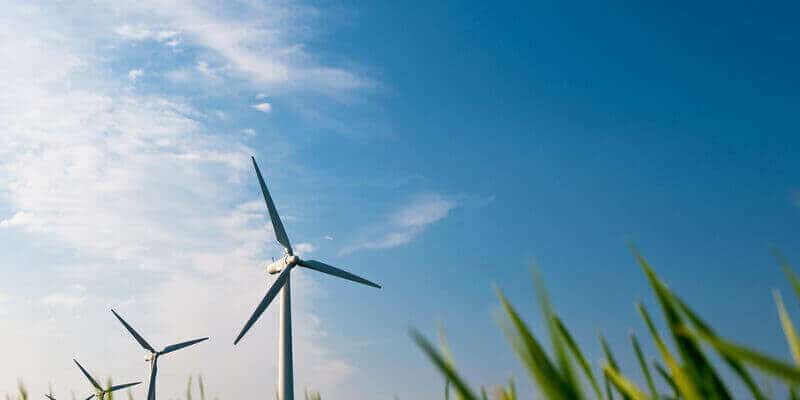 Nachhaltigkeit Grün Wandel